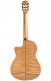 Fusion 14 Maple