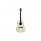 Fusion 14 Maple