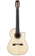 Fusion 14 Maple