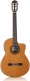 Iberia C7 Ce Cd 4-4 Cutaway Cedar