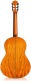 Luthier C9 Parlor CD + Étui