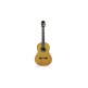 Luthier C9 Parlor CD + Étui