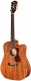 Westerly D120Ce Natural + Gigbag