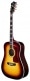 USA D55 ANTIQUE BURST + CASE