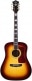 USA D55E ANTIQUE BURST + CASE