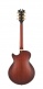 Deluxe Ss Satin Brown Burst