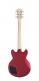 Premier Brighton Oxblood
