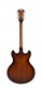 Premier Dc Brown Burst