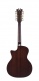 Premier Fulton Caramel Burst