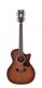 Premier Fulton Caramel Burst