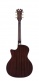 Premier Gramercy Aged Burst