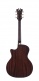 Premier Gramercy Caramel Burst