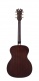 Premier Tammany Aged Burst