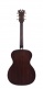 Premier Tammany Natural
