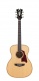 Premier Tammany Natural
