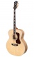 USA F55e Maple Blond Avec Étui