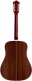 Usa D50 Std Antique Burst With Gigbag