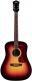 Usa D50 Std Antique Burst With Gigbag