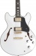 H7 Wh Hollow Body En