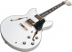H7 Wh Hollow Body En