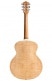 JUMBO JUNIOR FLAME MAPLE