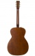 Legacy Havana Brown Q-Discrete