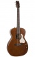 Legacy Havana Brown Q-Discrete