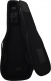 P8 Swamp Ash-4 Nt Mn + Housse - BSTOCK