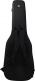 P8 Swamp Ash-5 Ts Mn + Gigbag