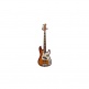 P8 Swamp Ash-5 Ts Mn + Housse