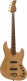 V10 Dx Swamp Ash-4 Nt Mn + Étui