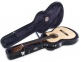 ETUI RIGIDE DELUXE ARCHTOP - STOCKB