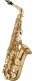 JAS700Q - Alto Mib Verni