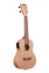 Ka-20Ce Burled Meranti Electro-Acoustic Concert