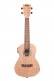 Ka-20Ce Burled Meranti Electro-Acoustic Concert