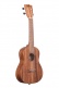 Ka-Teak-C Teak Concert