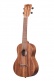 Ka-Teak-C Teak Concert