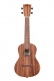 Ka-Teak-C Teak Concert