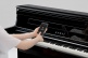 CA901 polished black