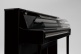 CA901 polished black