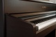 CA701 ROSEWOOD