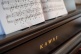 CA701 ROSEWOOD
