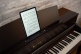 CA701 ROSEWOOD