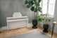 CN201 WHITE
