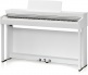 CN201 WHITE