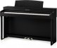 CN301 BLACK