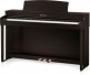 CN301 ROSEWOOD