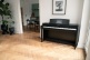 CN301 ROSEWOOD