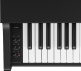 CX-102 Zwart