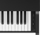 CX-102 Zwart